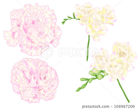 lisianthus freesia watercolor 108987200