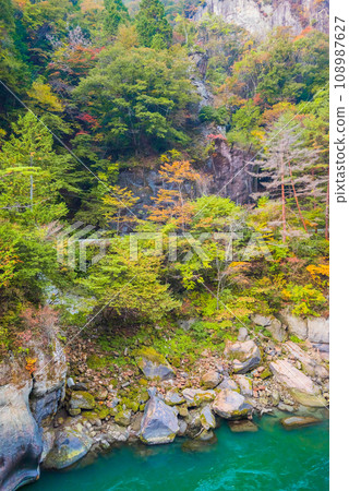 Autumn Yamaseiji [Ikusaka Village, Higashichikuma District] 108987627