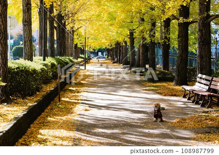 Utsunomiya Station East Park 108987799