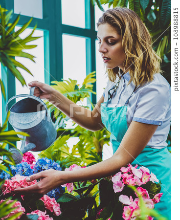 charming woman employee of greenery taking care of plants charming woman employee of greenery taking care of plants 108988815