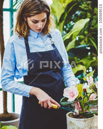 attractive woman in apron using scissors during gardening indoors 108989018
