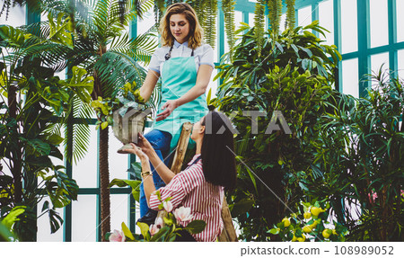 Cheerful female florists collaborating together in warmhouse taking care about green plants 108989052