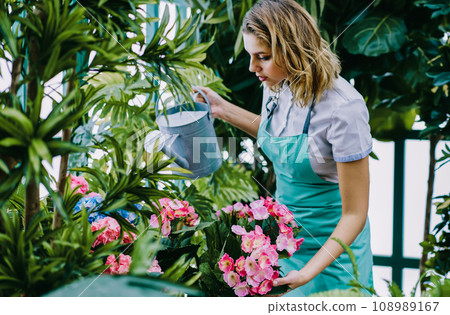 Professional female employee of orangery watering flowers with can and taking care of plants Professional female employee of orangery watering flowers with can and taking care of plants 108989167