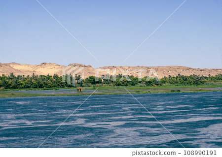 Egypt's Hidden Gem: Forest Views from Nile Cruise Egypt's Hidden Gem: Forest Views from Nile Cruise 108990191