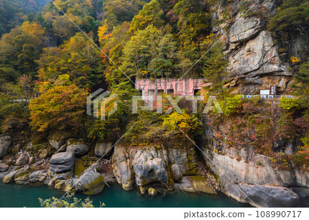 Autumn Yamaseiji [Ikusaka Village, Higashichikuma District] 108990717
