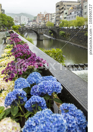 Hydrangeas decorated around Megane Bridge [Nagasaki City, Nagasaki Prefecture] 108990727