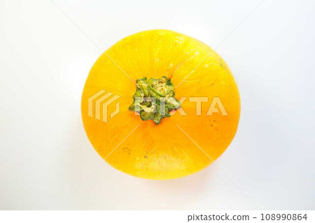 Pumpkin Pumpkin Pumpkin Pumpkin Pumpkin Pumpkin 108990864