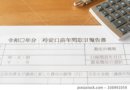 特定帳戶年度交易報告投資 特定帳戶年度交易報告投資 108991059