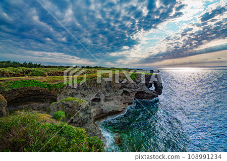 Manzamo elephant trunk Manzamo elephant trunk 108991234