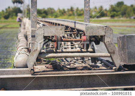 Green farm sprinkler automatic Watering machine Rice Field Green agriculture ecosystem Asian rice paddy field Thailand green farm. Harvest agriculture planting cultivation green rice terraces garden 108991831