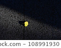 Light and shadow 108991930