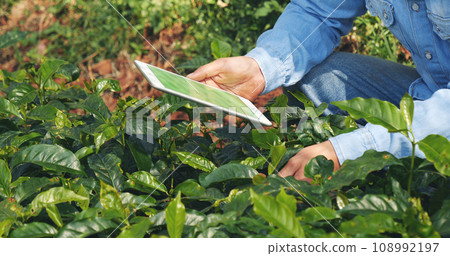Smart farmer holding smartphone in eco green farm sustainable quality control. Close up Hand control planting tree. Farmer hands cultivated fresh garden in eco biotechnology. Farmland technology 108992197