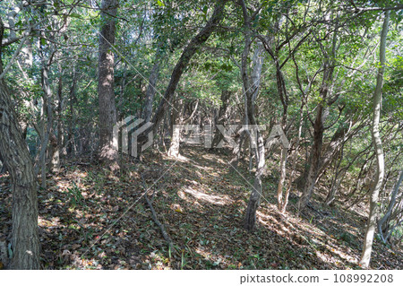 京森登山道（愛媛郡松山市） 108992208