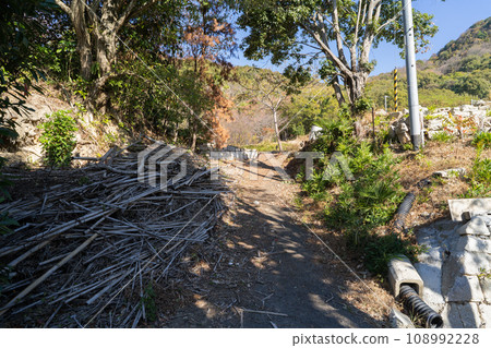 梅辻站附近的京森登山口(愛媛郡松山市) 梅辻站附近的京森登山口(愛媛郡松山市) 108992228