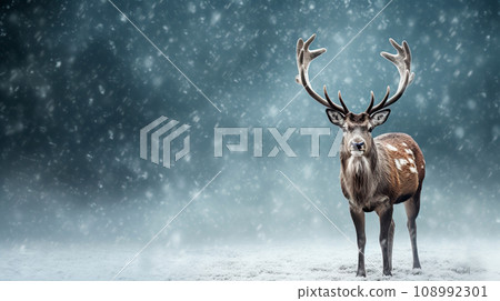 Fallow deer with big antlers in snowfall. Winter background. 108992301