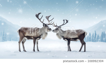 Two Deer against the blue sky. Deer and winter landscape with snow and snowflakes. 108992304