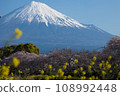 櫻花富士 108992448