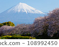櫻花盛開，富士 108992450