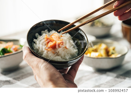 Salmon and rice 108992457