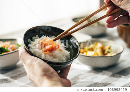 三文魚和米飯 三文魚和米飯 108992459