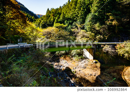 Hanno City, Saitama Prefecture, Autumn Lake Naguri (Arima Dam) Shiratani Bridge 108992864