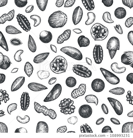 Hand Drawn Nuts Branch And Kernels Background. Seed Vector Seamless Vector Pattern. Retro Engraved Nut Illustration. Hand Drawn Nuts Branch And Kernels Background. Seed Vector Seamless Vector Pattern. Retro Engraved Nut Illustration. 108993231