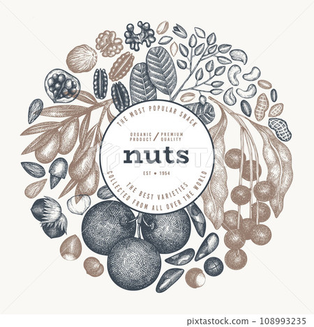 Hand Drawn Nuts Branch And Kernels  Template. Organic Seed Vector Design. Retro Nut Illustration. Engraved Style Botanical Banner. 108993235
