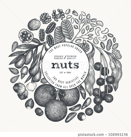Hand Drawn Nuts Branch And Kernels  Template. Organic Seed Vector Design. Retro Nut Illustration. Engraved Style Botanical Banner. 108993236