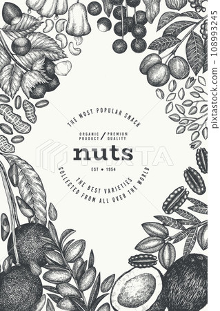 Hand Drawn Nuts Branch And Kernels Template. Organic Seed Vector Design. Retro Nut Illustration. Engraved Style Botanical Banner. Hand Drawn Nuts Branch And Kernels Template. Organic Seed Vector Design. Retro Nut Illustration. Engraved Style Botanical Banner. 108993245