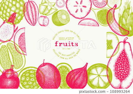 Tropical Fruit Design Template. Vector Hand Drawn Exotic Fruit Banner. Vintage Style Menu Illustration. 108993264