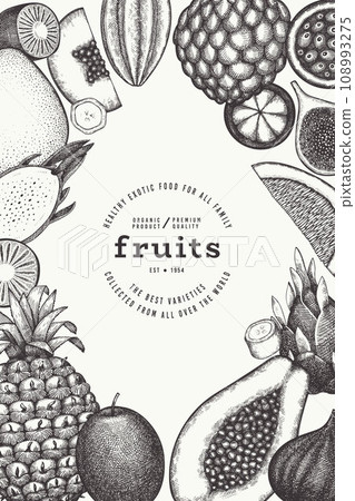 Tropical Fruit Design Template. Vector Hand Drawn Exotic Fruit Banner. Vintage Style Menu Illustration. Tropical Fruit Design Template. Vector Hand Drawn Exotic Fruit Banner. Vintage Style Menu Illustration. 108993275