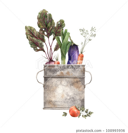 Watercolor composition with a rusty barrel and various vegetables. The elements are drawn manually. It can be used in posters, postcards, paper, fabric. 108993936
