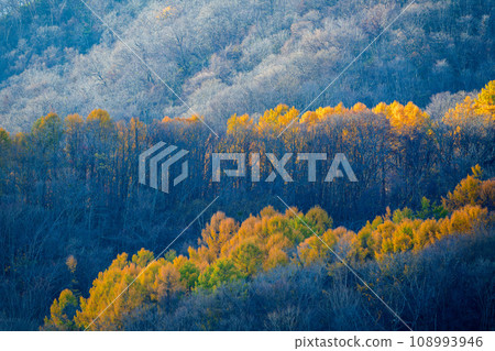 深秋的藻岩山_7461 深秋的藻岩山_7461 108993946