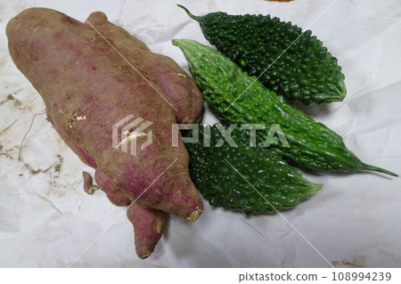 Harvested ingredients sweet potato and bitter gourd Harvested ingredients sweet potato and bitter gourd 108994239