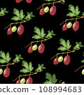 Ripe gooseberries seamless pattern. Summer berry background with berries. vector illustration, hand-drawing 108994683