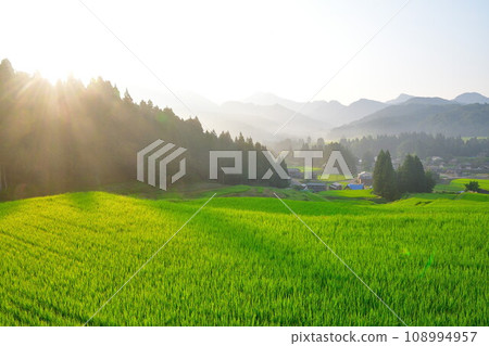 Kitagumagawa河（新潟）的水稻梯田 108994957