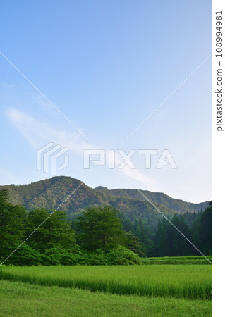 Kitagumagawa河(新潟)的水稻梯田 Kitagumagawa河(新潟)的水稻梯田 108994981