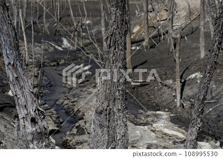 排水冬季海洋侵蝕控制池景觀 108995530