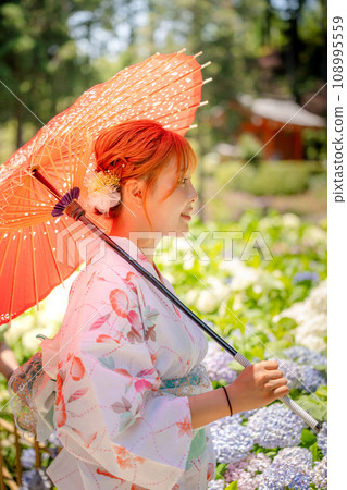 穿著浴衣的年輕女子拿著日本傘,繡球花園 穿著浴衣的年輕女子拿著日本傘,繡球花園 108995559