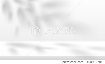 A white three-dimensional background that reflects the stylish shadows of the leaves.The leaves fall apart one by one. A white three-dimensional background that reflects the stylish shadows of the leaves.The leaves fall apart one by one. 108995701