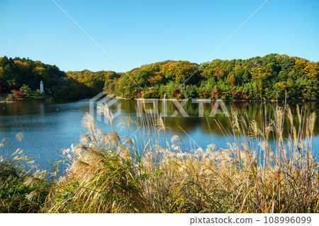 宮澤湖在秋天 宮澤湖在秋天 108996099