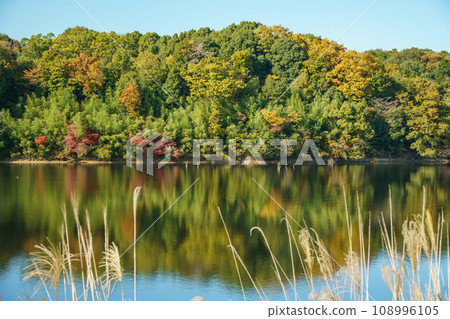 宮澤湖在秋天 108996105