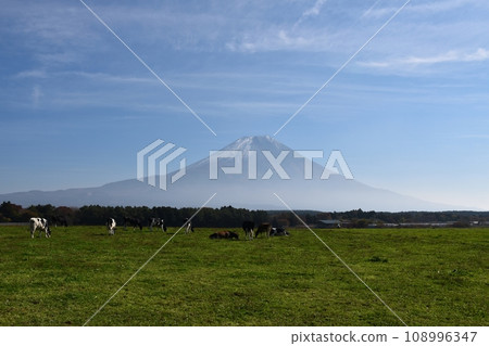 富士山和牛靜岡 富士山和牛靜岡 108996347