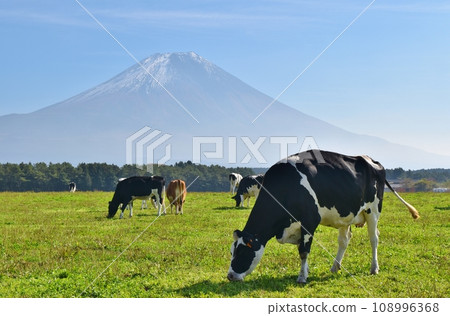 富士山和牛靜岡 富士山和牛靜岡 108996368