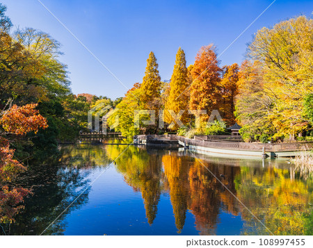 吉祥寺秋天的井之頭公園 吉祥寺秋天的井之頭公園 108997455
