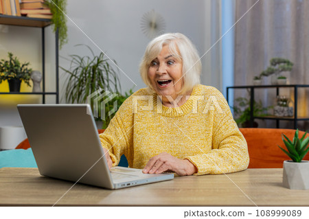 Overjoyed senior woman working on laptop celebrate success win money in lottery get online good news 108999089