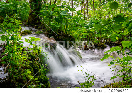 Discover the Magnificent Waterfalls in Krka National Park, Croatia - Nature's Splendor Discover the Magnificent Waterfalls in Krka National Park, Croatia - Nature's Splendor 109000231