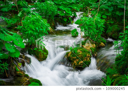 Scenic Old Town of Zadar, Croatia - Quaint European Destination with Rich Cultural Heritage 109000245