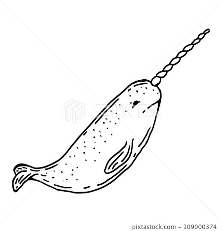 Hand drawn illustration of Narwhal Hand drawn illustration of Narwhal 109000374