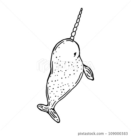 Hand drawn illustration of Narwhal Hand drawn illustration of Narwhal 109000383